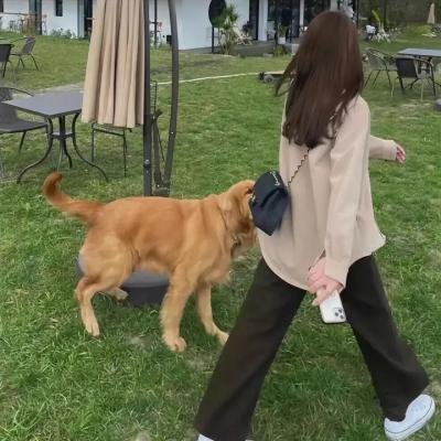 小丑2:双重妄想